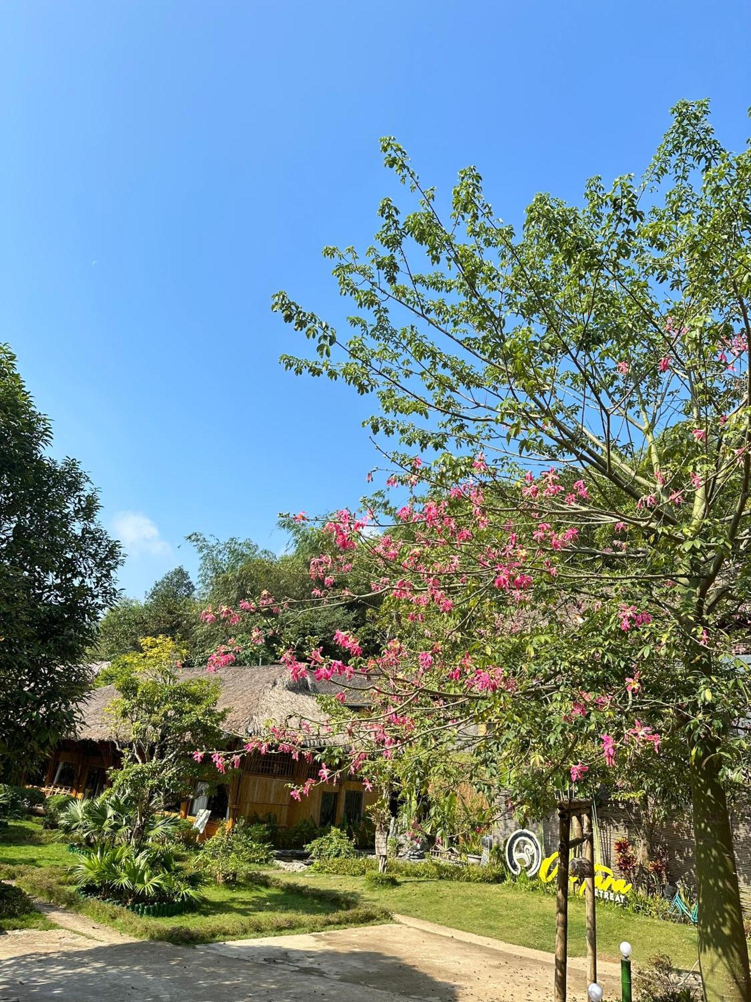 Отель Om Tara Retreat Yen Bai Экстерьер фото